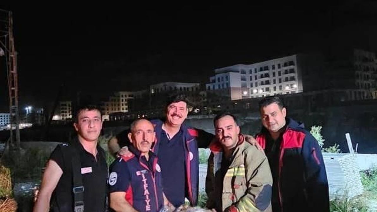 Asi Nehri'ne düşen koç ekiplerce kurtarıldı