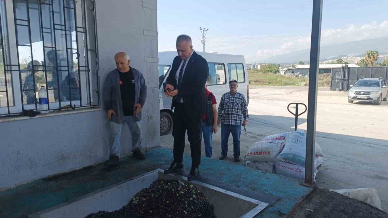 Hatay İl Tarım ve Orman Müdürü'nden Zeytinyağı Hasadı Uyarısı