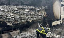 Hamsi yüklü tır alevlere teslim oldu: Dorse kullanılamaz hale geldi