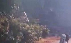 'İsyanlardayız' yazılı video paylaşımları yapan motosikletliye ceza uygulandı