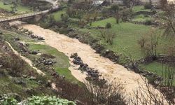 Hassa’da Yağış Etkisini Artırdı, Derelerin Debisi Yükseldi