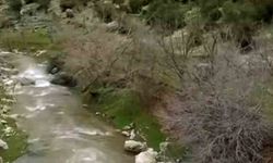 Araban'da kuruyan Ardıl Çayı yıllar sonra yeniden akmaya başladı