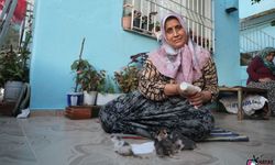 Hatay'da Yürek Isıtan Merhamet! Annesiz Kalan Yavru Kedileri Biberonla Büyütüyor