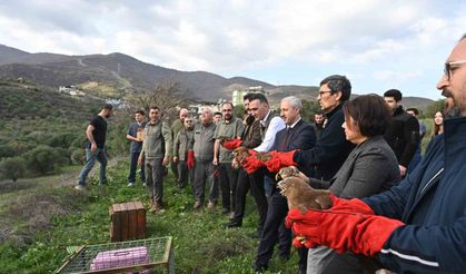 Tedavisi tamamlanan yırtıcı kuşlar özgürlüğe kanat çırptılar