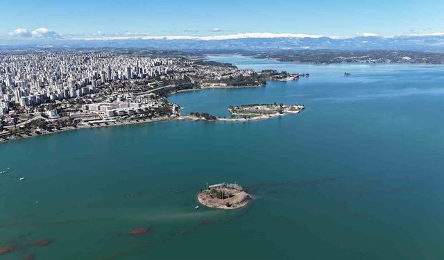 Adana'da gölde su seviyesi yükseldi, Sevgi Adası yolu kayboldu