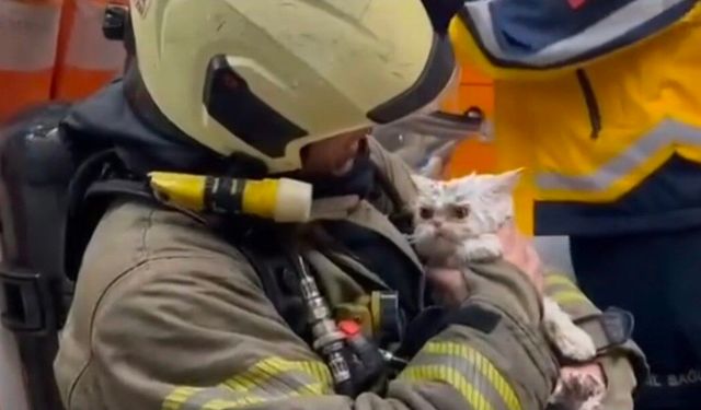 Fatih'te metruk binada çıkan yangın yanındaki ahşap binaya sıçradı: Bir kedi kurtarıldı