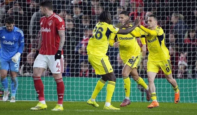 Fenerbahçe, Avrupa kupalarına veda etti