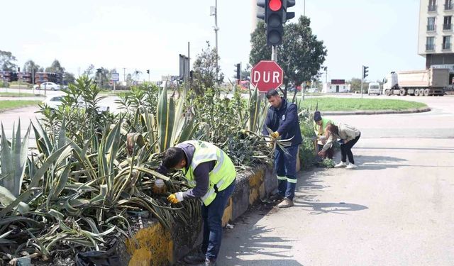 Hatay Büyükşehir Belediyesi bitkide dışa bağımlılığı en aza indirmeyi hedefliyor
