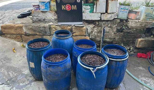 Hatay'da 790 litre kaçak alkol ele geçirildi