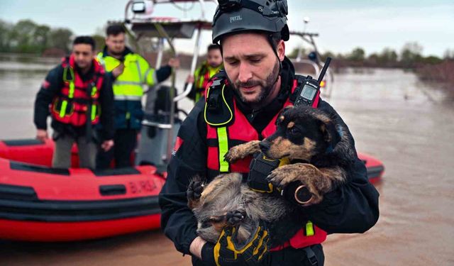 Sular altında kalan bağ evinde mahsur kalan iki köpeği belediye ekipleri kurtardı