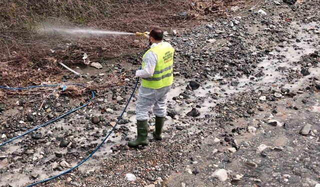 Hatay Büyükşehir Belediyesi haşereyle mücadele çalışmalarına devam ediyor