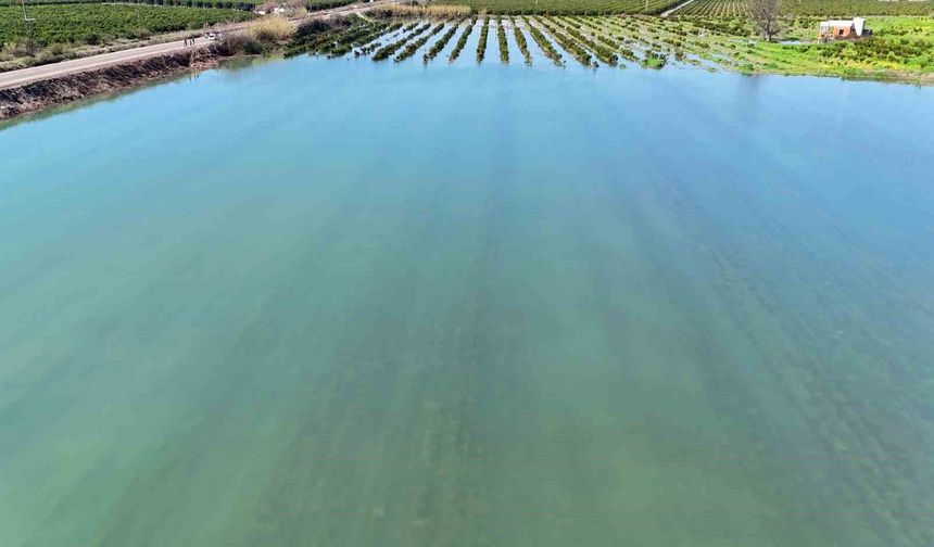 Adana'da sel suları tarım arazilerini sular altında bıraktı