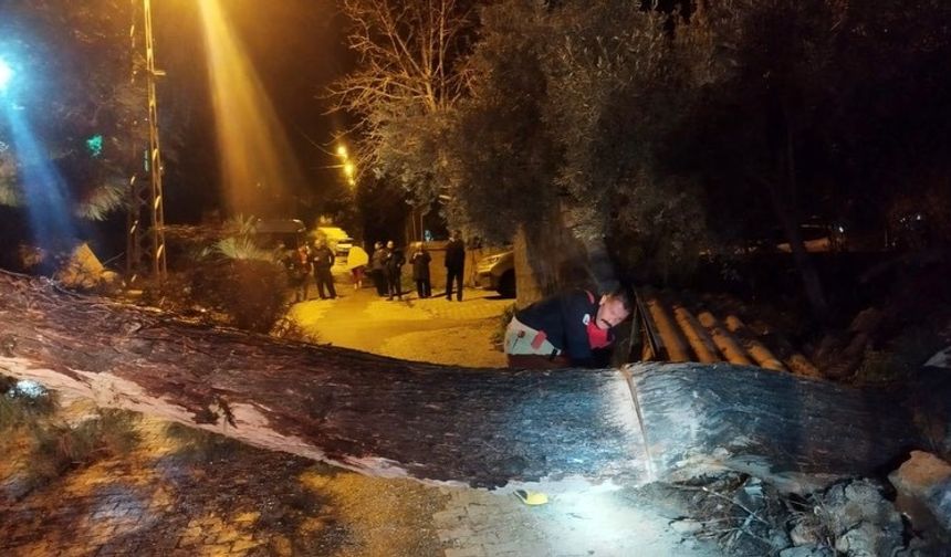 Defne'de devrilen ağaç yolu kapattı