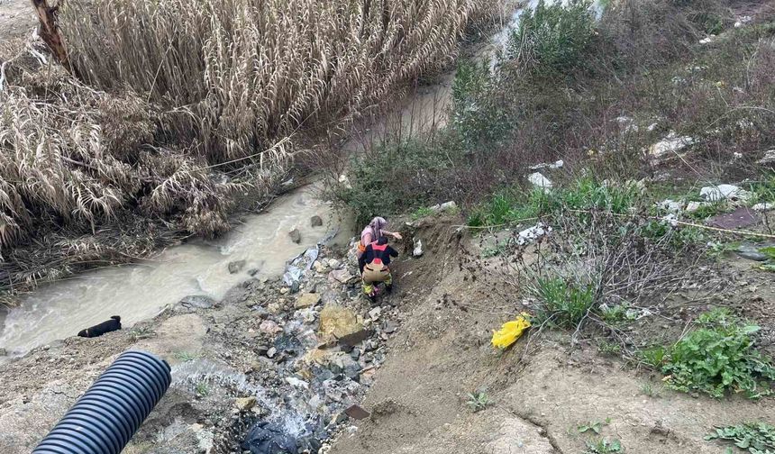 Dere yatağına düşen oğlağı kurtarmak isteyen kadın mahsur kaldı