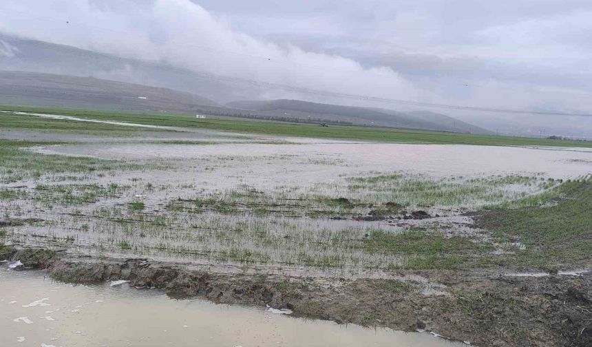 Gaziantep'te tarım arazileri su altında kaldı