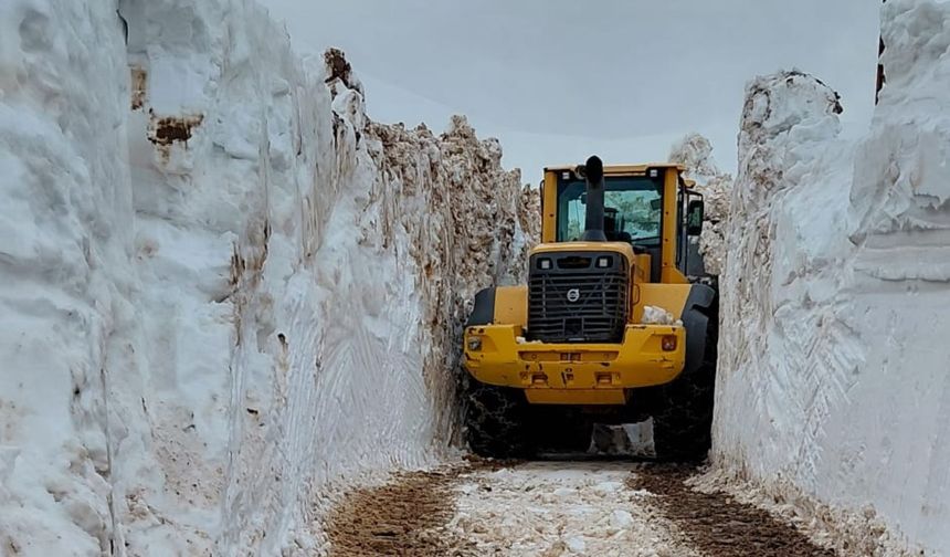 Kar kalınlığının 4 metreyi bulduğu Yüksekova'da kar savaşçılarının zorlu mesaisi