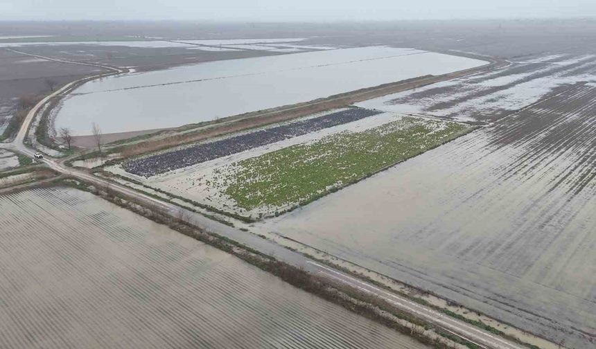 Sağanak yağmurdan sonra binlerce dönüm tarım arazisi sular altında kaldı