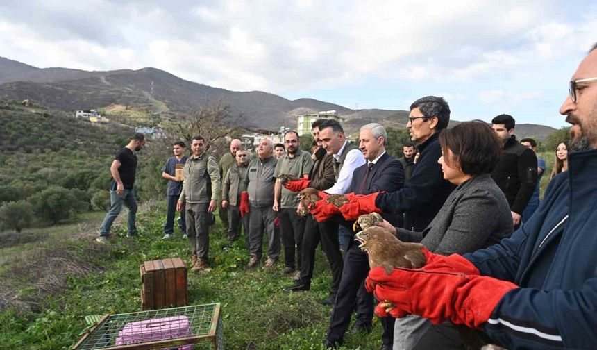 Tedavisi tamamlanan yırtıcı kuşlar özgürlüğe kanat çırptılar