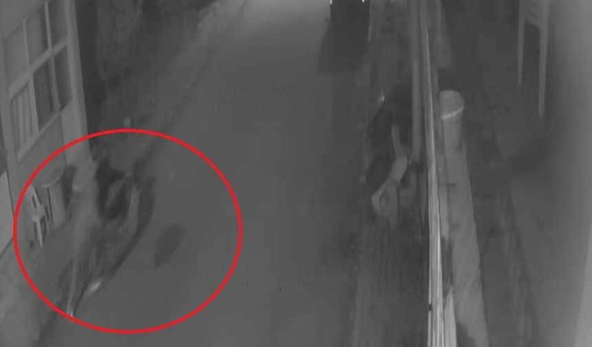 Park halindeki motosikleti çaldılar