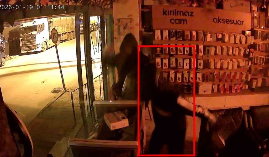 Parke taşıyla camları kırıp iş yerini soyanlar tutuklandı