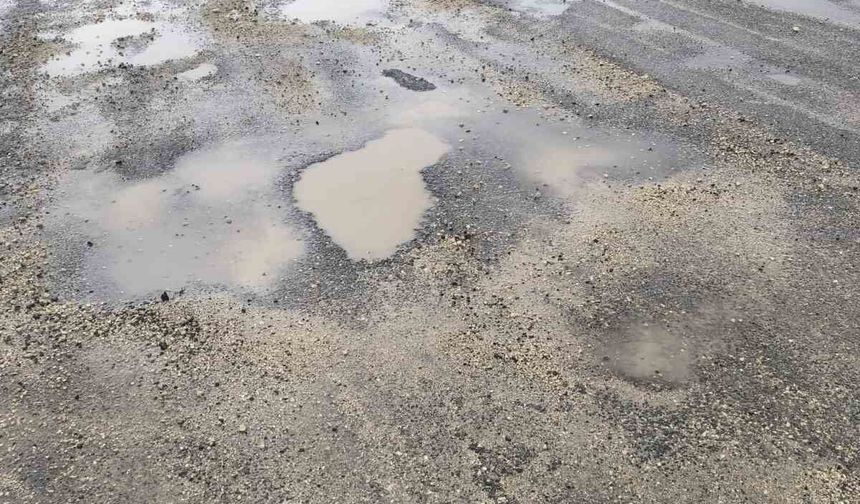 Silvan ilçesinde vatandaşlardan 'yol' çağrısı