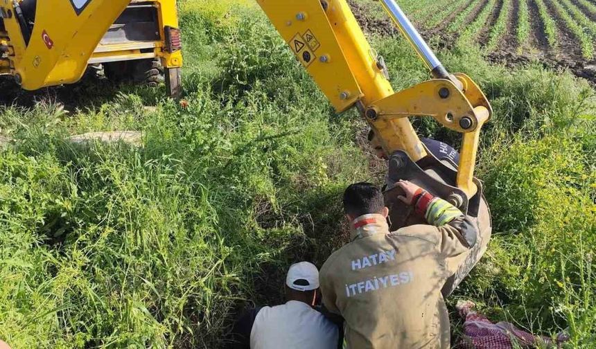 Antakya'da kuyuya düşen büyükbaş hayvan kurtarıldı