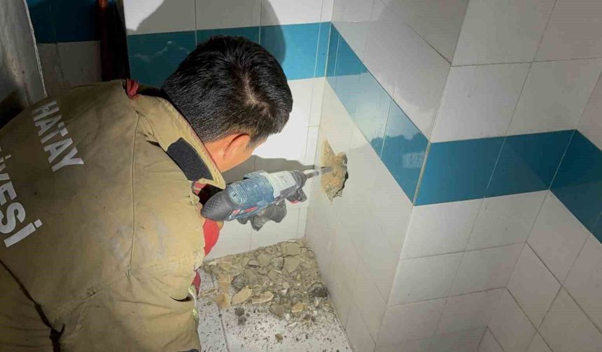 Bacadan düşerek mahsur kalan yavru kedi duvarın kırılmasıyla kurtarıldı