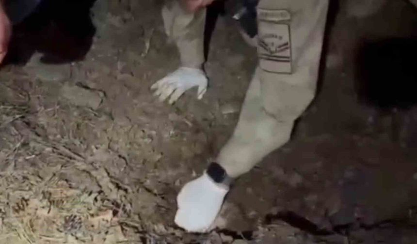 Bilezikler için anneyi ve oğlunu öldüren katil morga gidip, olayı gerçekleştirenleri gördüğünü söylemiş