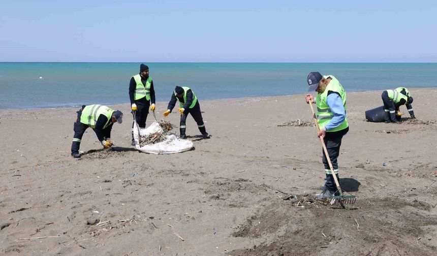 Hatay Büyükşehir Belediyesi, sahillerde temizlik çalışmasını yıl boyu sürdürüyor