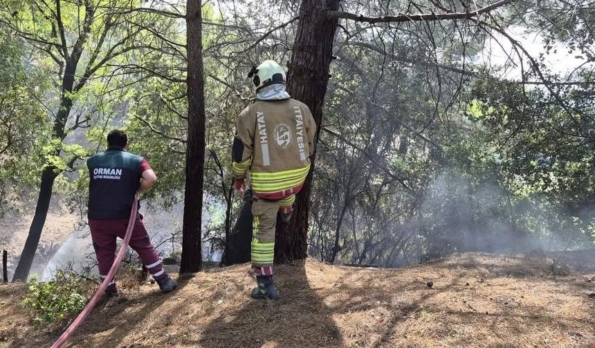 İskenderun'da orman yangını kontrol altına alındı