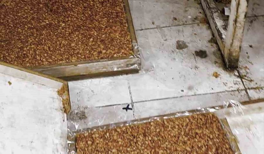 Kötü koku üzerine girilen evde mide bulandıran şartlarda lokum ve cezerye üretildiği ortaya çıktı