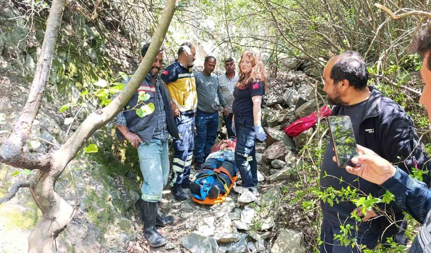 Ormanlık alanda uçurumdan düşen vatandaş yaralandı