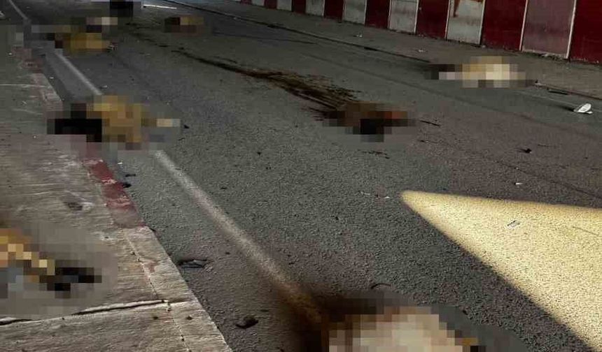 Otomobil sürüye daldı, 17 koyun telef oldu