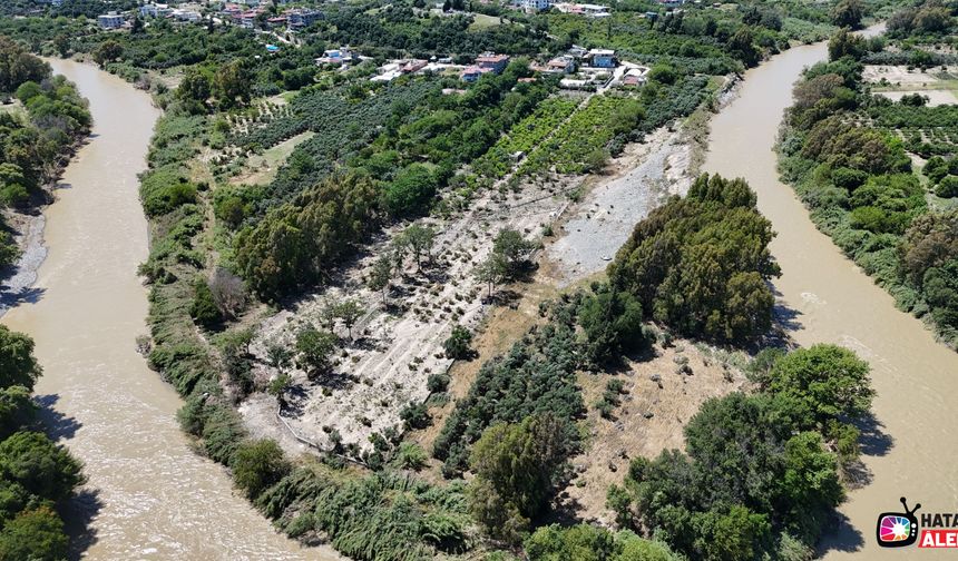 Aşırı yağışlarla debisi artan Asi Nehri'nden gelen taş yığınları, onlarca tarım arazisine zarar verdi