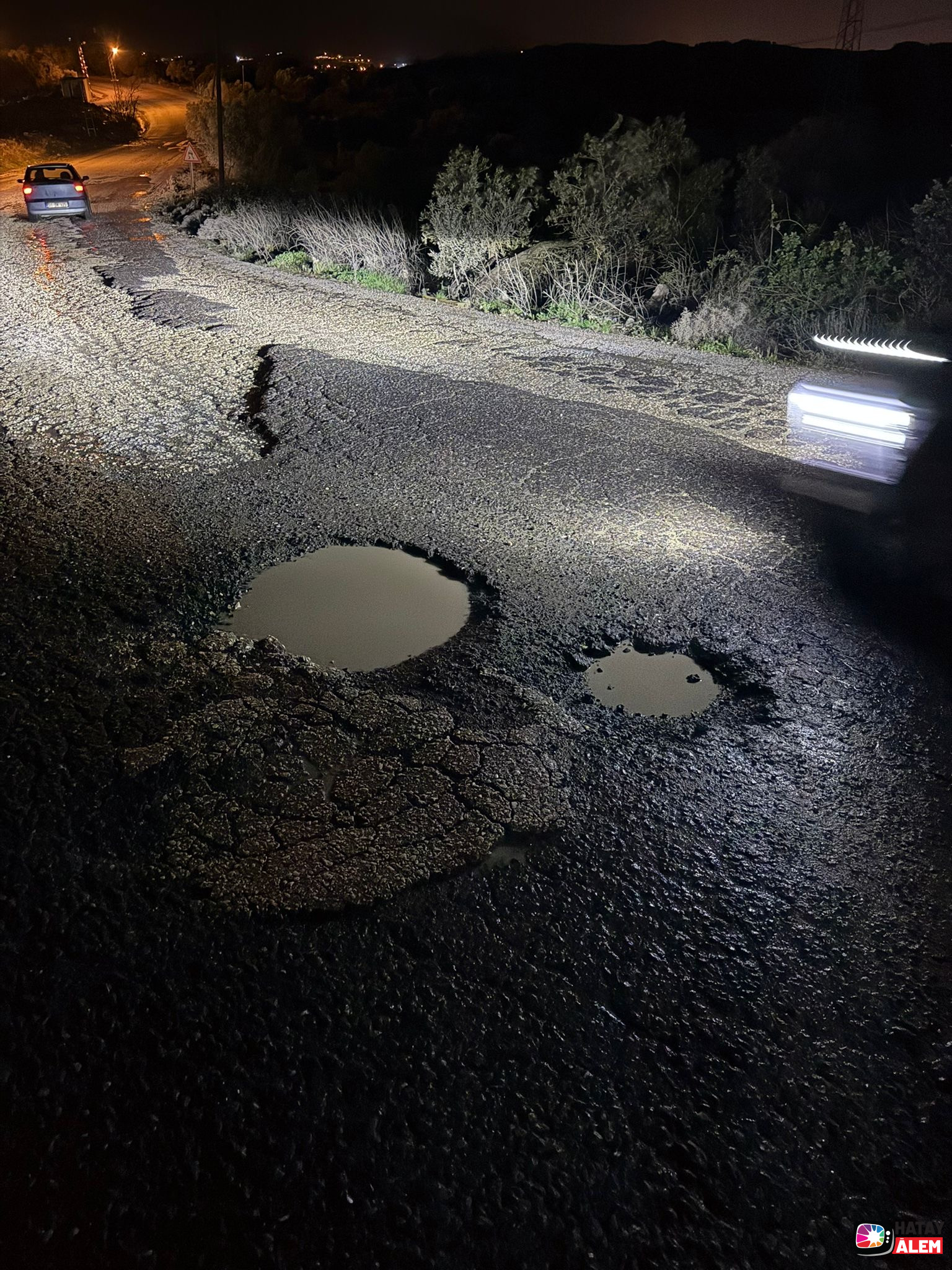 5Cd7018D Ed72 4C41 9B4E Bd990E75F39B