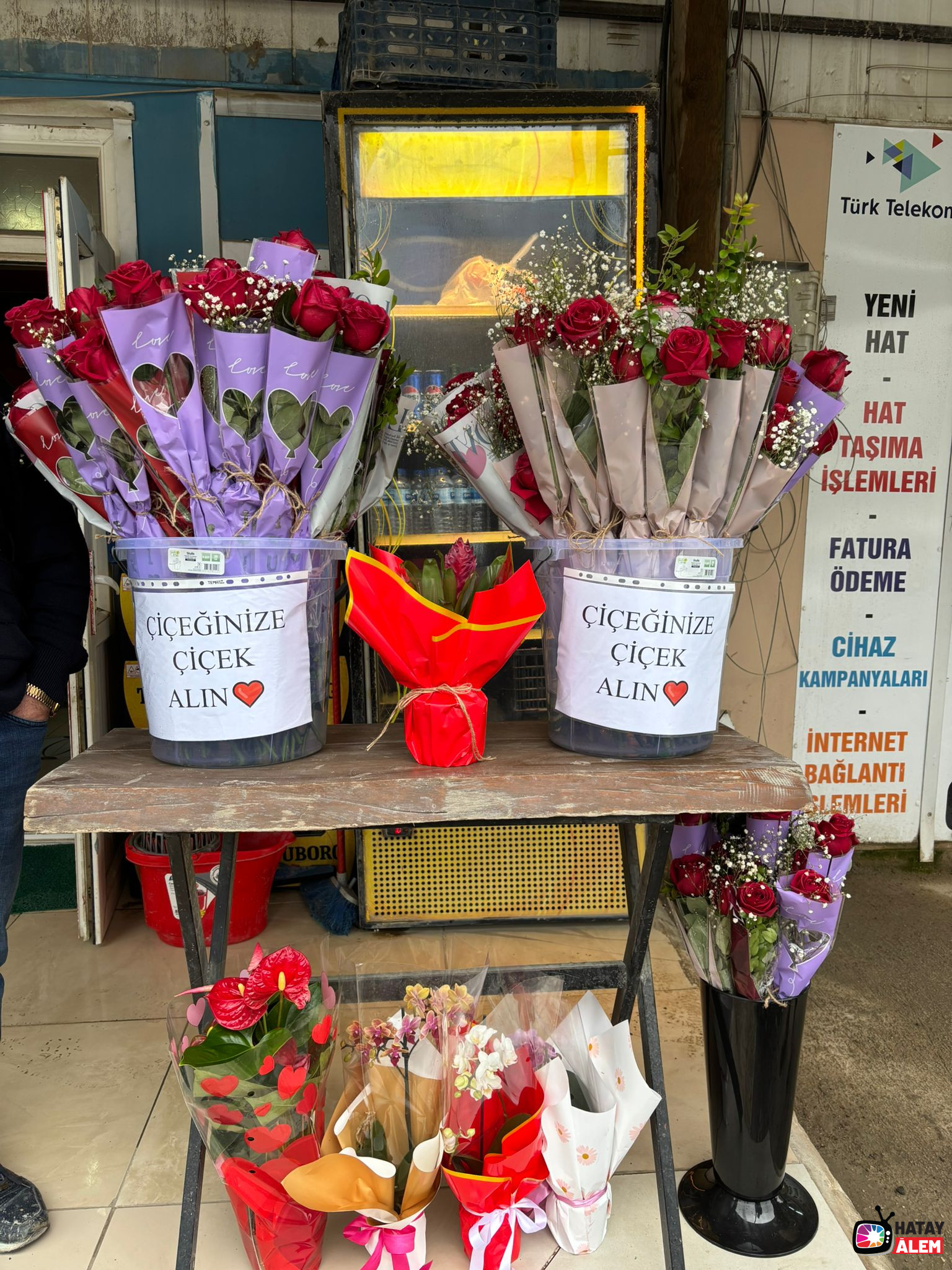 Whatsapp Image 2026 02 13 At 17.40.55