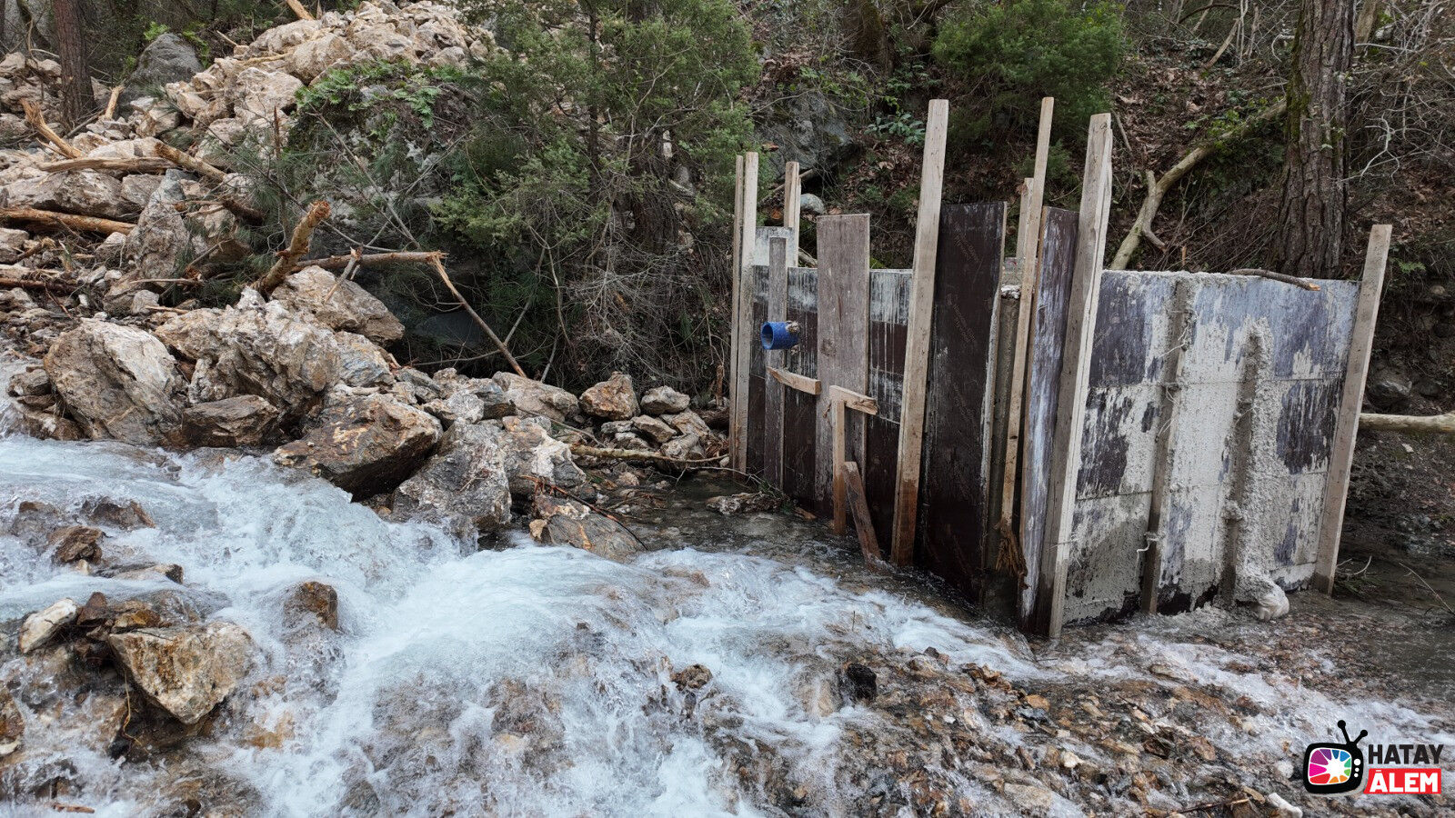 Whatsapp Image 2026 03 09 At 11.19.15 (1)